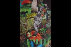 Frans Lanting’s Jungle